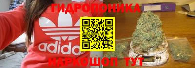 трава Обнинск